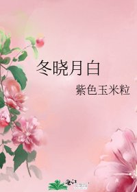 冬曉月白